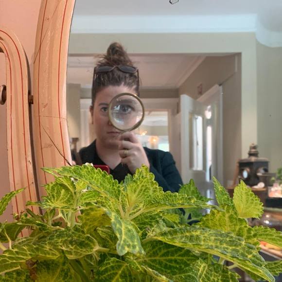 Meet your Posher, Emily - Picture 1 of 1